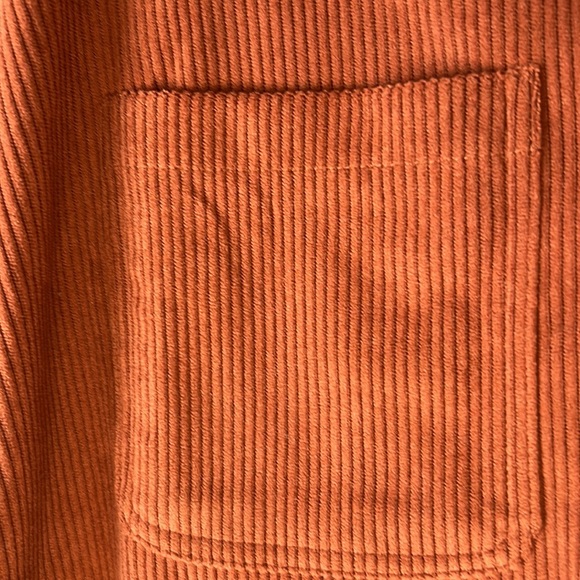 Terracotta Corduroy A Line Skirt - Picture 8 of 14